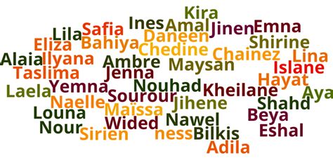 prénom arabe en n fille|Prénom arabe pour fille : Top 50 des prénoms。